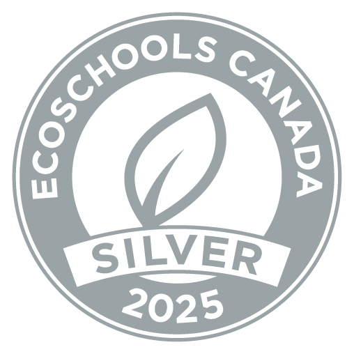 EcoSchool Silver