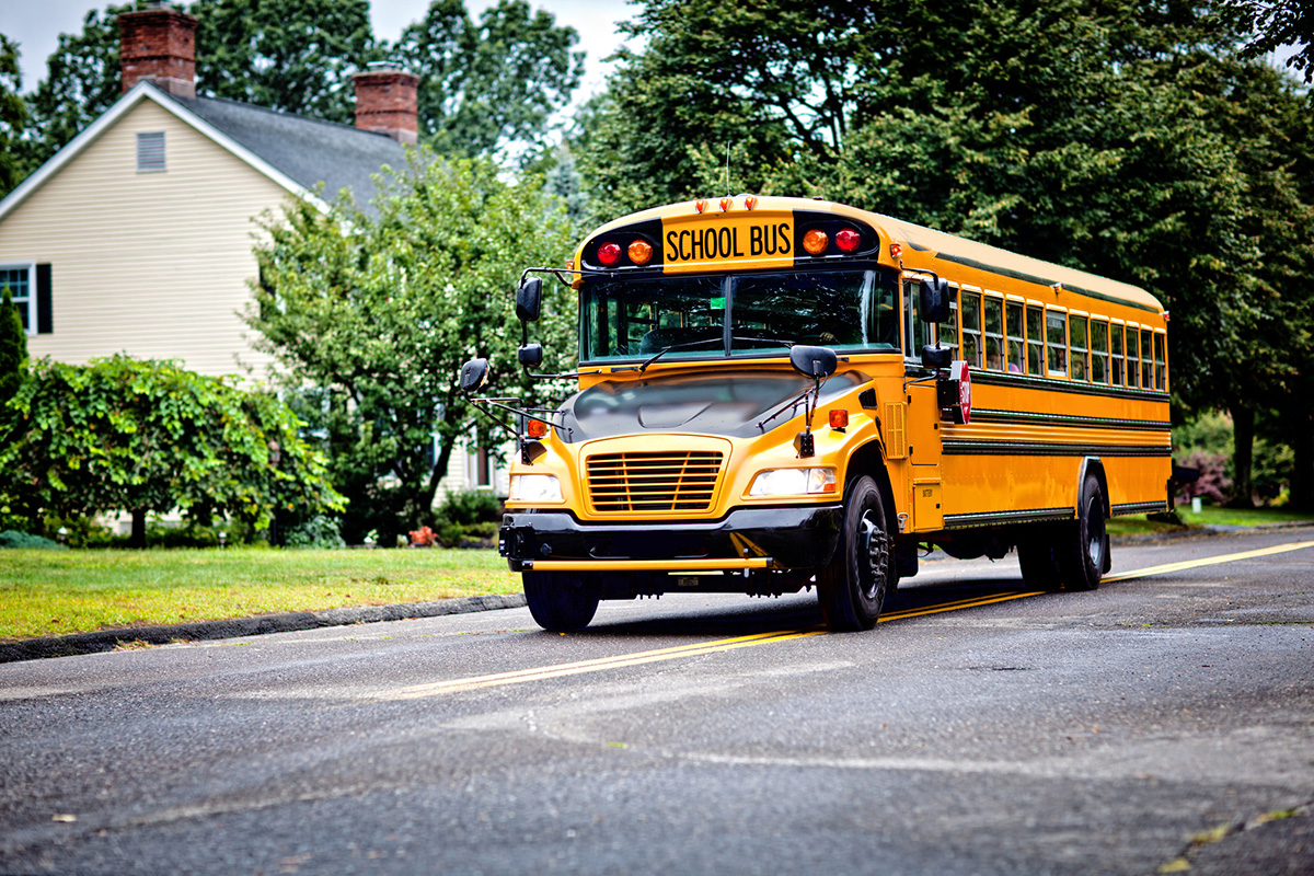 School Bus, Summer